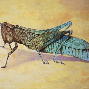 Oumayma Abouzid Souali Artist Morocco / laplateforme55.org